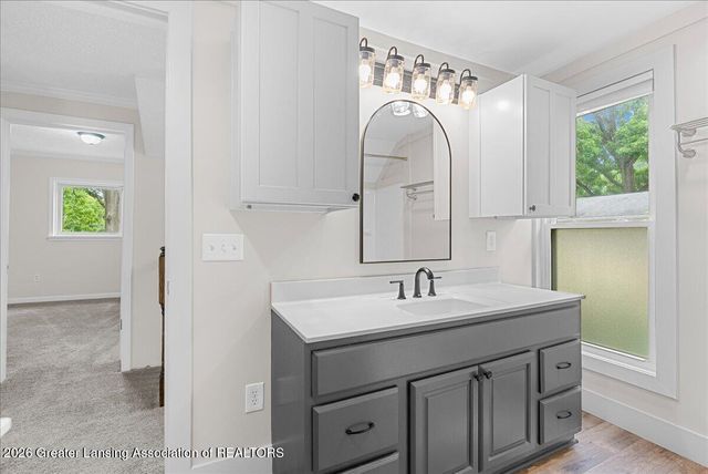 236 W Lincoln Street, Grand Ledge, MI 48837