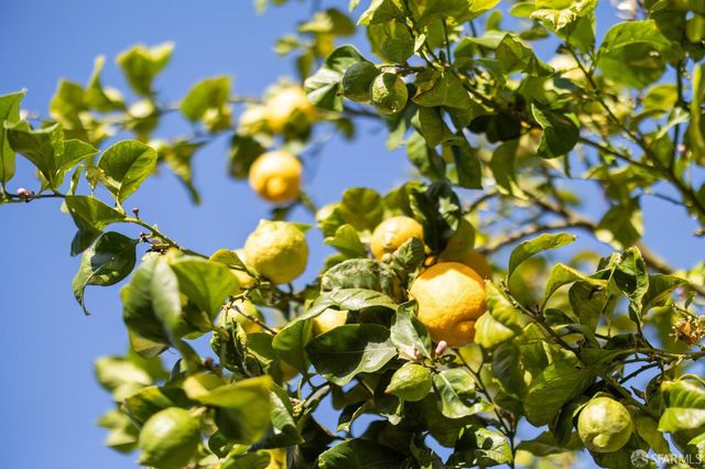 506 11th Avenue, San Francisco, CA 94118