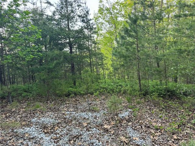 1181 Jewel Court NE, Ranger, GA 30734