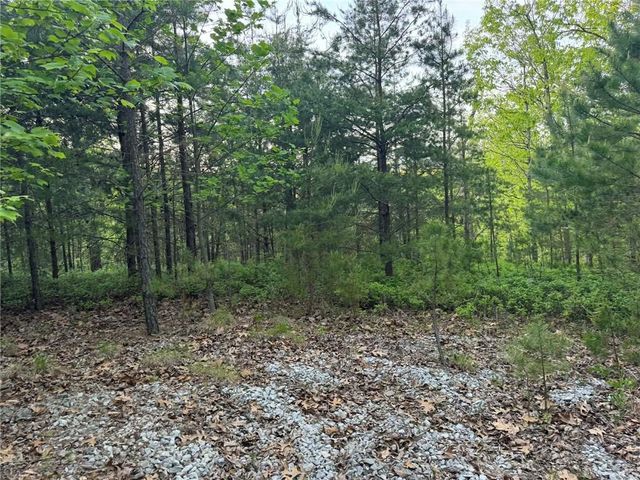 1181 Jewel Court NE, Ranger, GA 30734