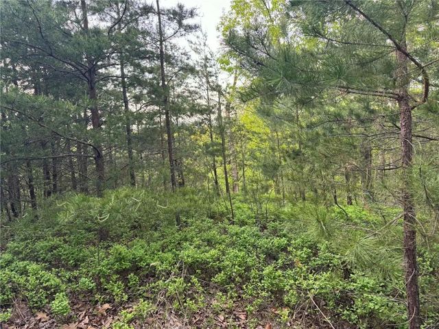1181 Jewel Court NE, Ranger, GA 30734