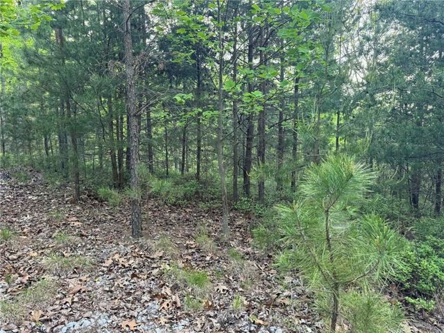 1181 Jewel Court NE, Ranger, GA 30734