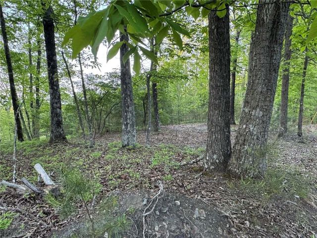 1181 Jewel Court NE, Ranger, GA 30734