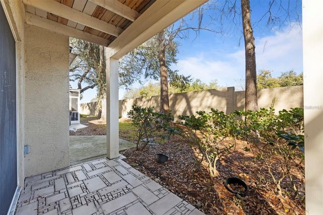 3401 CYPRESS HEAD COURT, Tampa, FL 33618