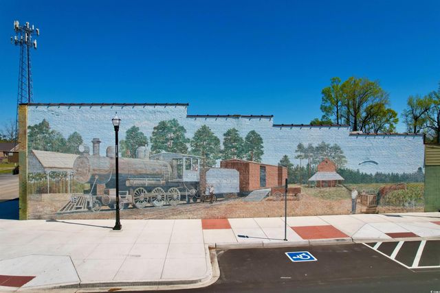 208 Baylee Circle, Galivants Ferry, SC 29544