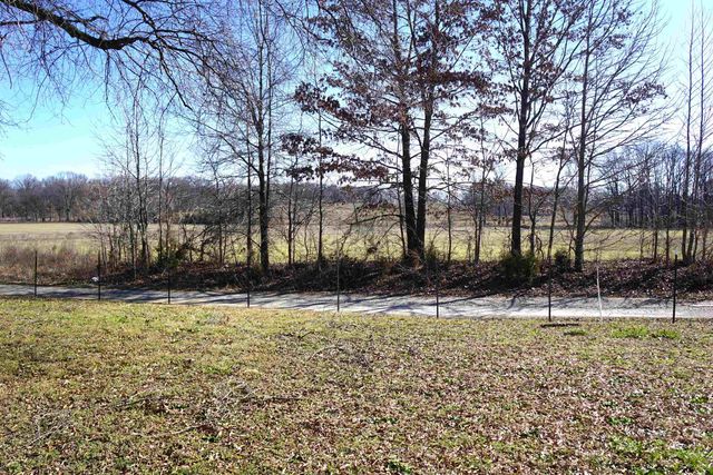 375 EMMITT CULBERTH LN, Mason, TN 38049