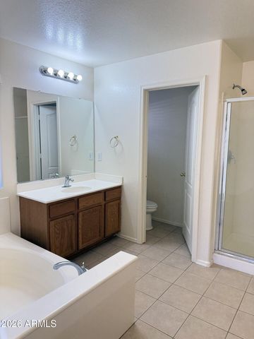 12214 W Hadley Street, Avondale, AZ 85323