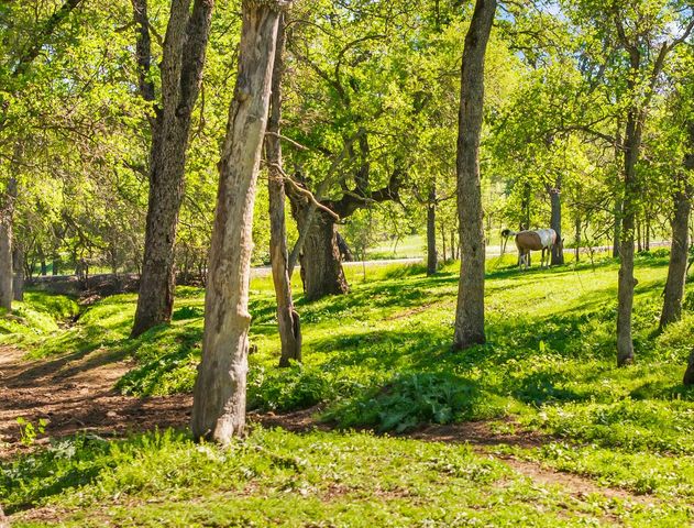 4997 Carbondale rd, Plymouth, CA 95669