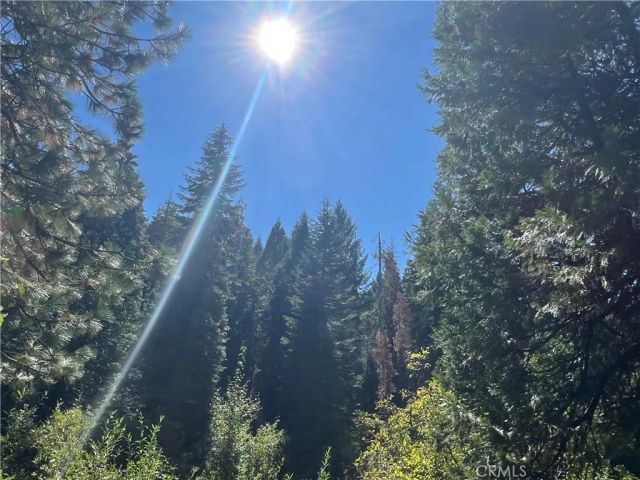 7404 Meadow Creek, Butte Meadows, CA 95942