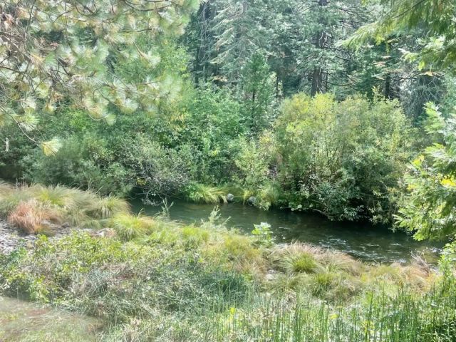 7404 Meadow Creek, Butte Meadows, CA 95942