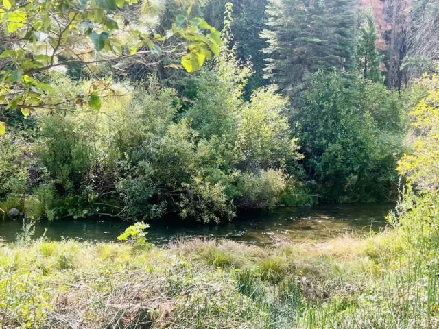 7404 Meadow Creek, Butte Meadows, CA 95942