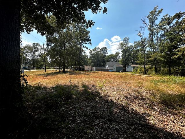 170 Tobago Lane, Point Blank, TX 77364