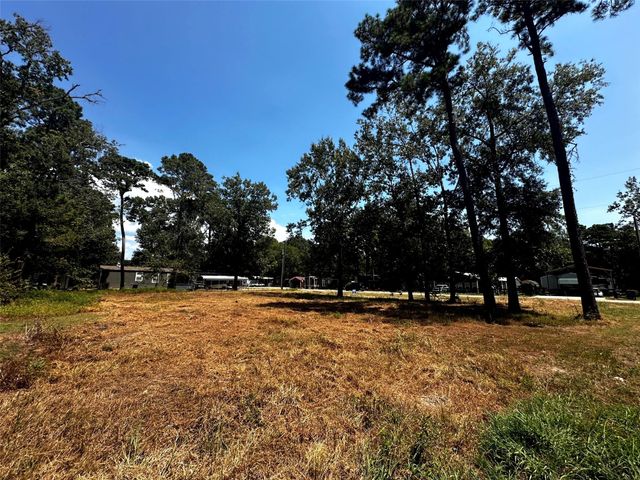 170 Tobago Lane, Point Blank, TX 77364