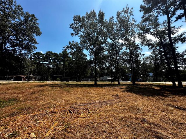 170 Tobago Lane, Point Blank, TX 77364