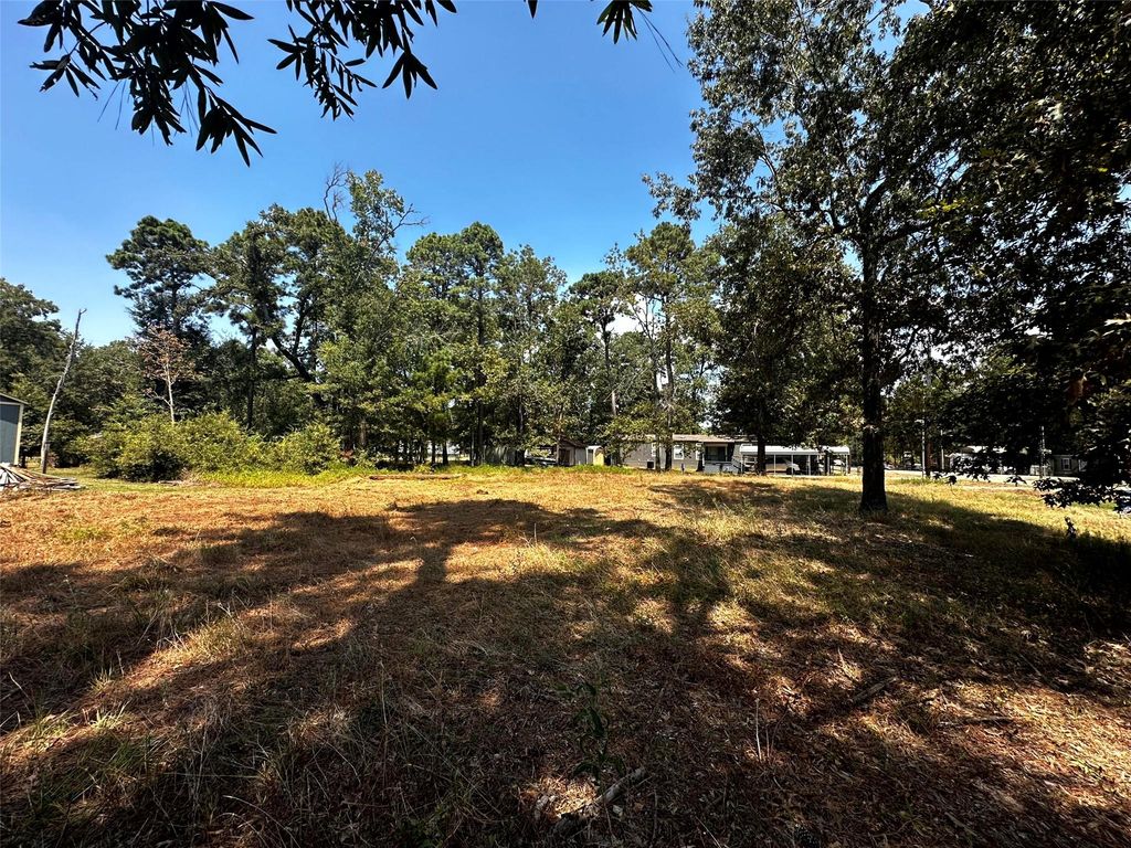 170 Tobago Lane, Point Blank, TX 77364