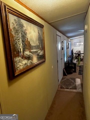 233 Begonia Road, Sparta, GA 31087