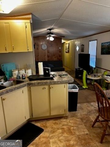 233 Begonia Road, Sparta, GA 31087