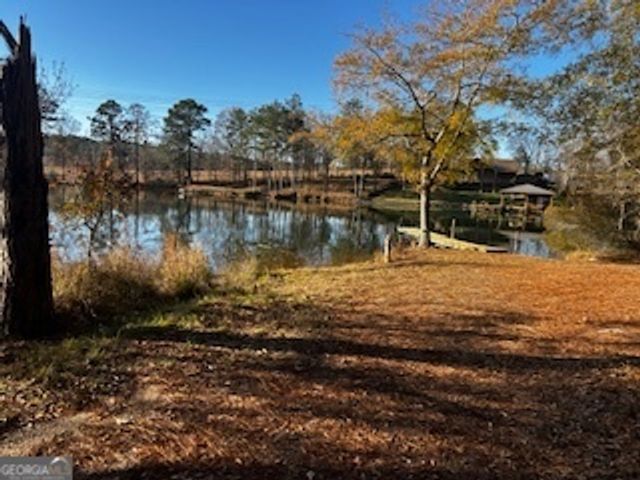 233 Begonia Road, Sparta, GA 31087