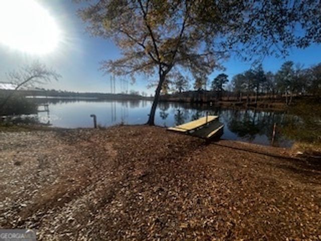 233 Begonia Road, Sparta, GA 31087