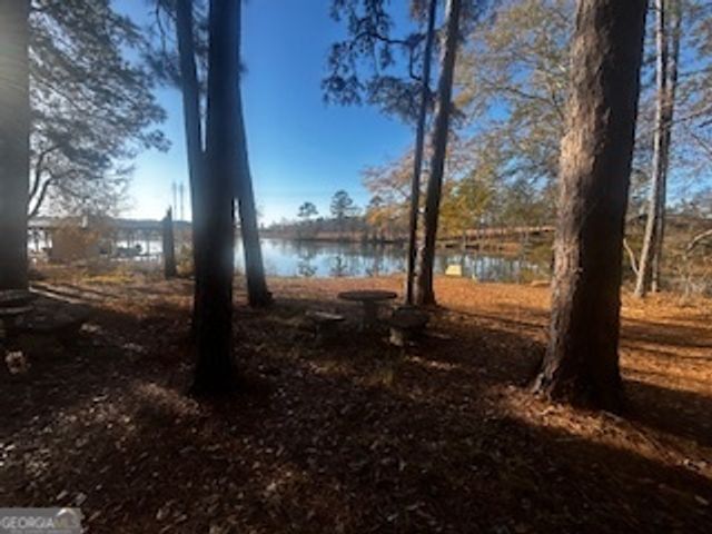 233 Begonia Road, Sparta, GA 31087