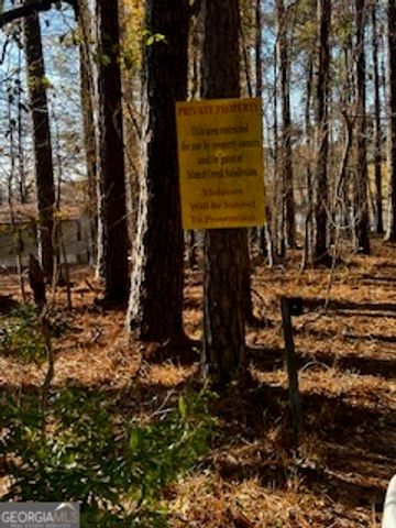 233 Begonia Road, Sparta, GA 31087