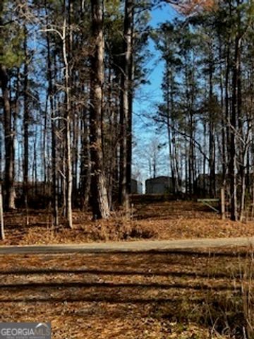 233 Begonia Road, Sparta, GA 31087