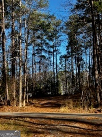 233 Begonia Road, Sparta, GA 31087