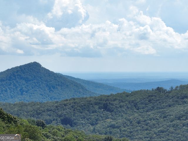 246 Andes Ridge, Ellijay, GA 30536