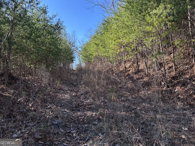 246 Andes Ridge, Jasper, GA 30143