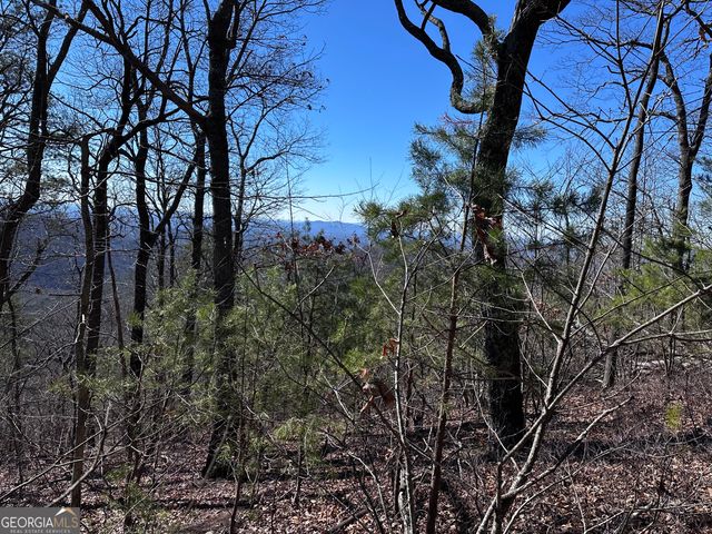 246 Andes Ridge, Jasper, GA 30143