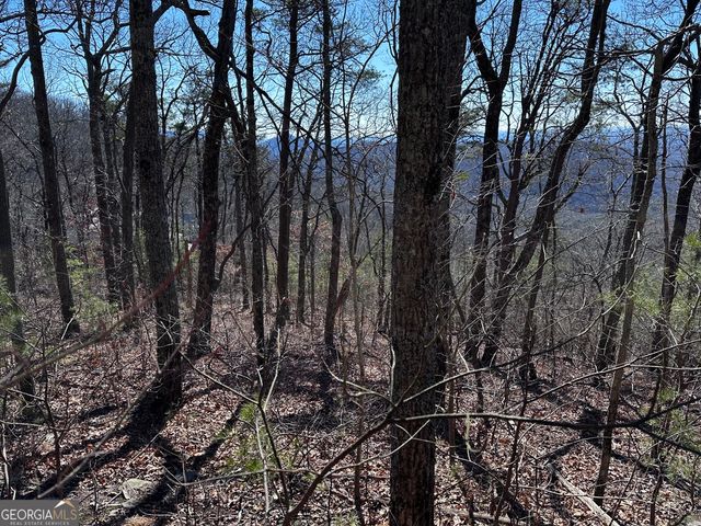 246 Andes Ridge, Jasper, GA 30143