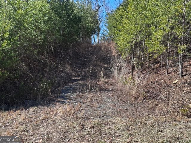 246 Andes Ridge, Jasper, GA 30143