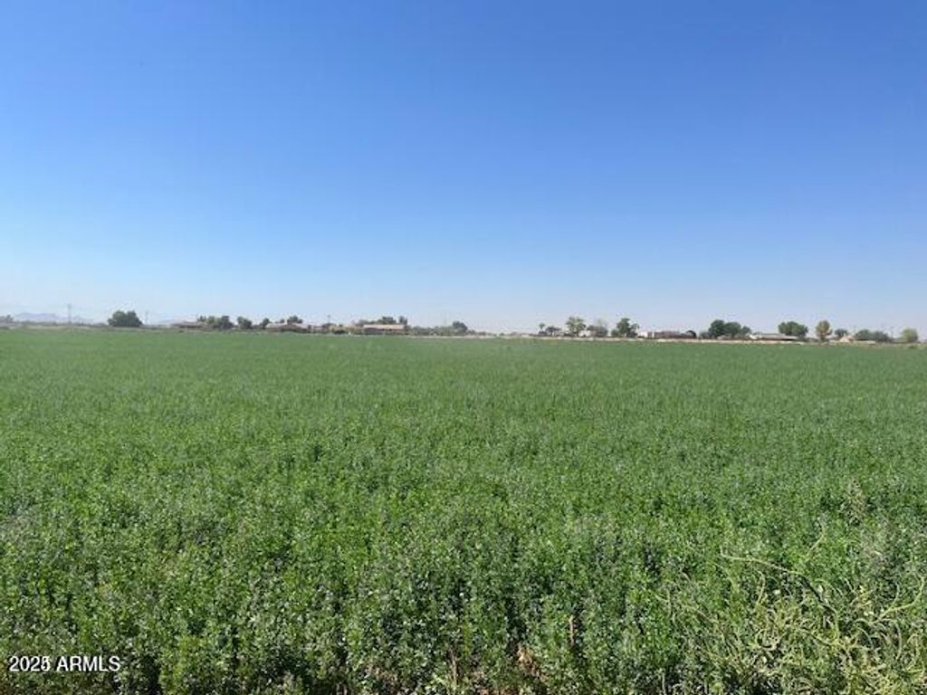 0006 W Beloat Road -, Buckeye, AZ 85326 — photo 5