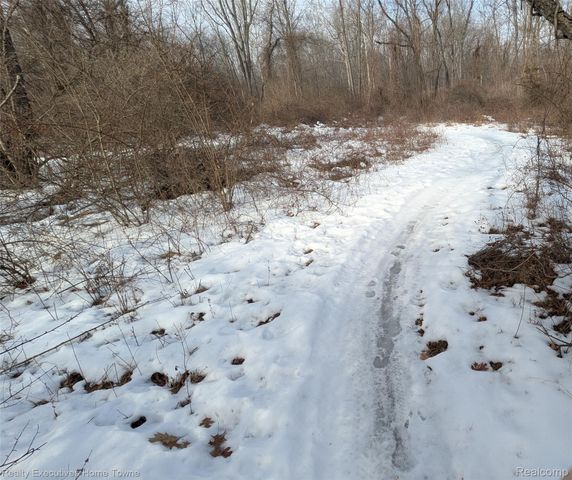 46955 Shiloh Way Way, Shelby Charter Township, MI 48317