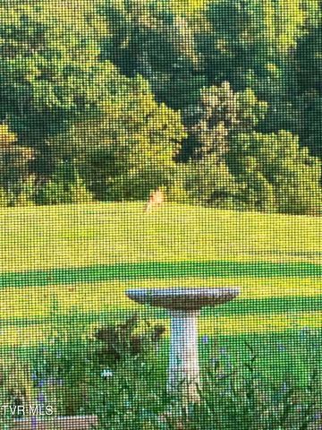 336 Cloud Creek Road, Rogersville, TN 37857