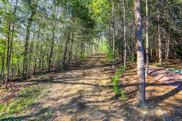 336 Cloud Creek Road, Rogersville, TN 37857