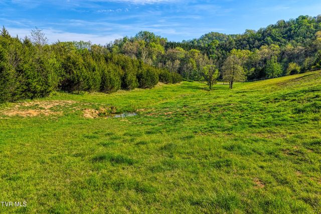 336 Cloud Creek Road, Rogersville, TN 37857
