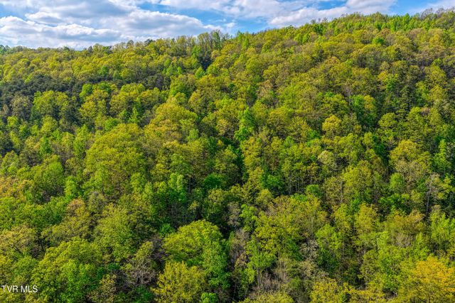 336 Cloud Creek Road, Rogersville, TN 37857