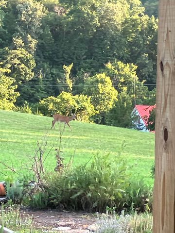 336 Cloud Creek Road, Rogersville, TN 37857