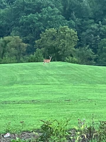 336 Cloud Creek Road, Rogersville, TN 37857
