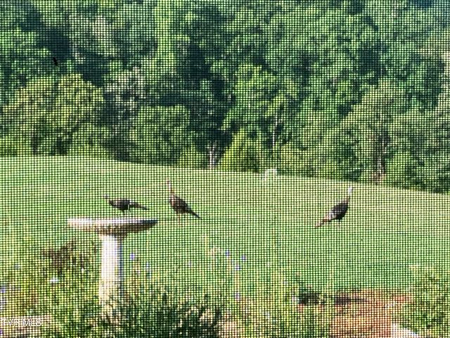 336 Cloud Creek Road, Rogersville, TN 37857