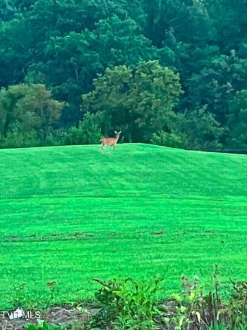 336 Cloud Creek Road, Rogersville, TN 37857