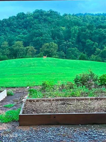 336 Cloud Creek Road, Rogersville, TN 37857
