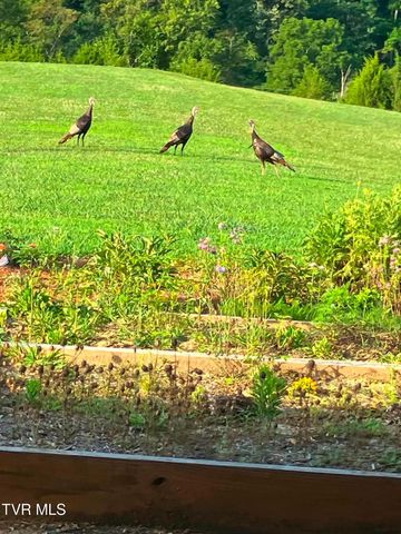 336 Cloud Creek Road, Rogersville, TN 37857