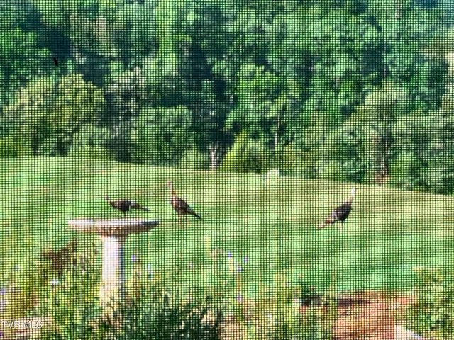 336 Cloud Creek Road, Rogersville, TN 37857