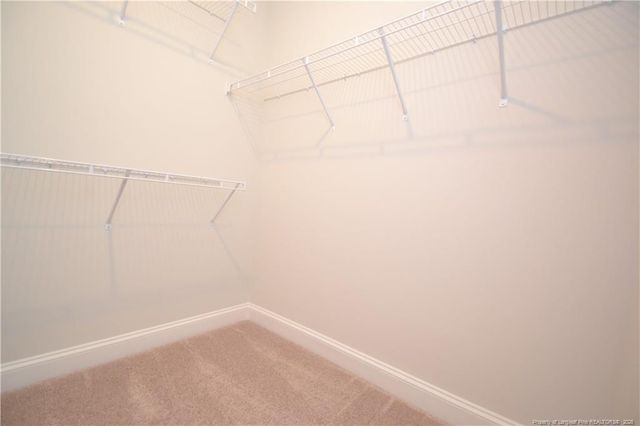 1509 Village Hall Lane, Wake Forest, NC 27587