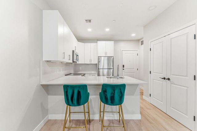 157 Chestnut 203, Chelsea, MA 02150