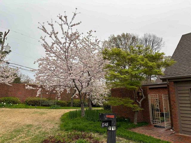 1548 CHERRY PARK DR, Memphis, TN 38120