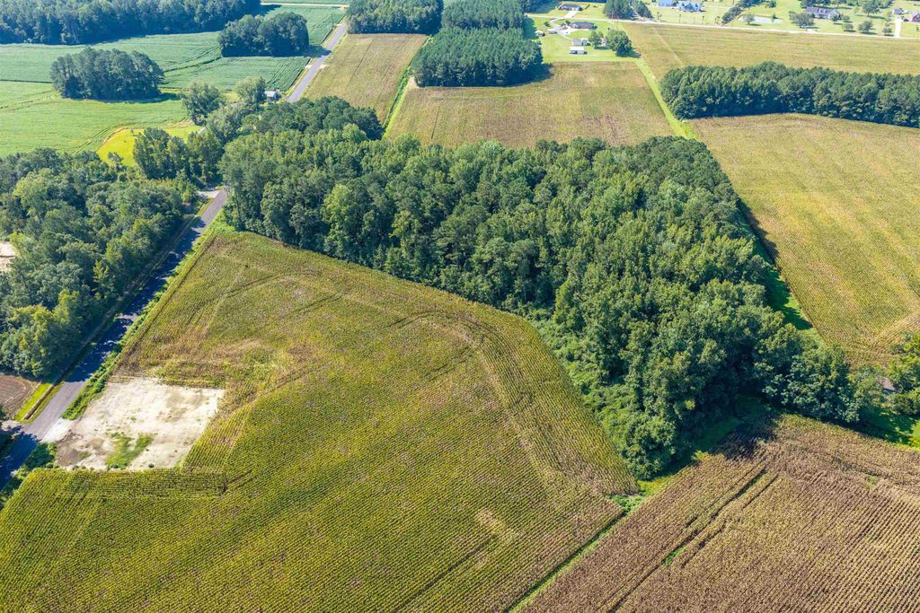TBD Lot 2 Birchfield Dr., Loris, SC 29569 — photo 4