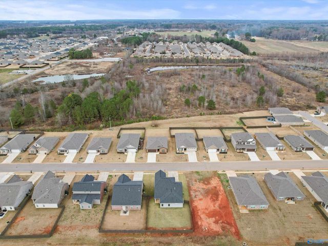 16560 Demi Drive, Athens, AL 35613
